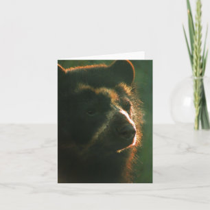 Bubu Notecard PB2 Karte