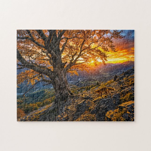 Buche am Hang mit Fuchs (Horizontal)
