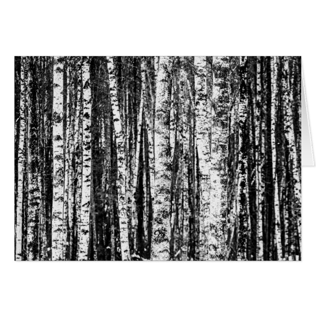 Buche, weiß und Holzkohle, grau/grau (Vorderseite (Horizontal))