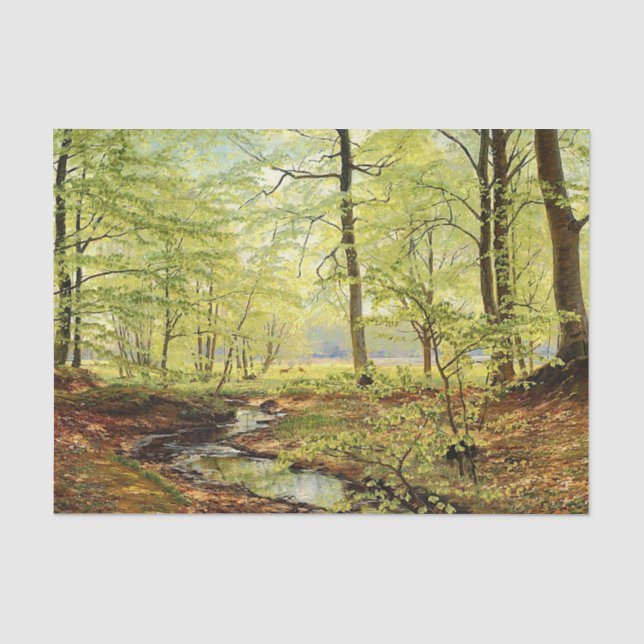 Buchen im Frühling, Christliches Zacho Seidenpapier (Vorderseite)