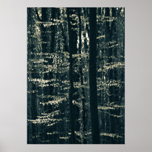 Buchenwald-Natur-Foto Poster