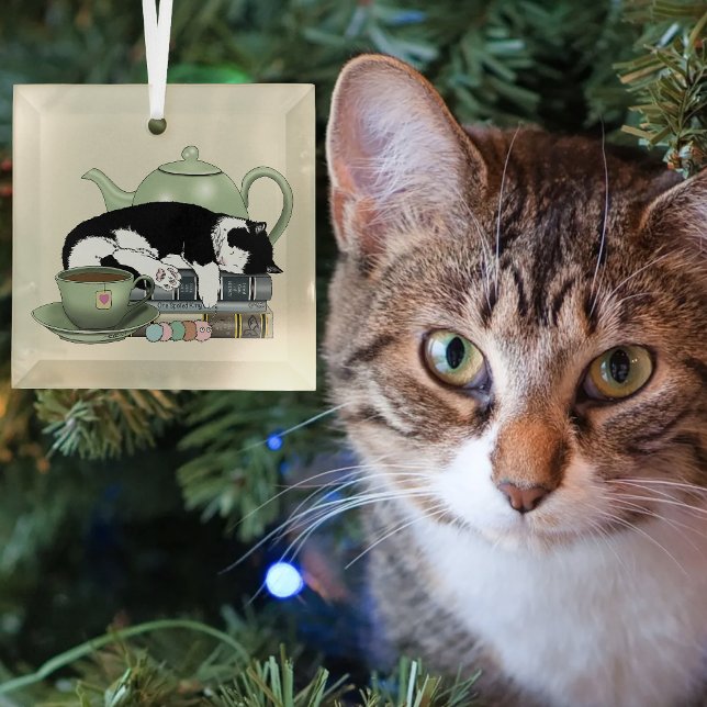 Bücher Cat Tee Niedlich Keramikornament (Von Creator hochgeladen)