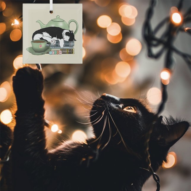 Bücher Cat Tee niedlich Ornament Aus Glas (Von Creator hochgeladen)