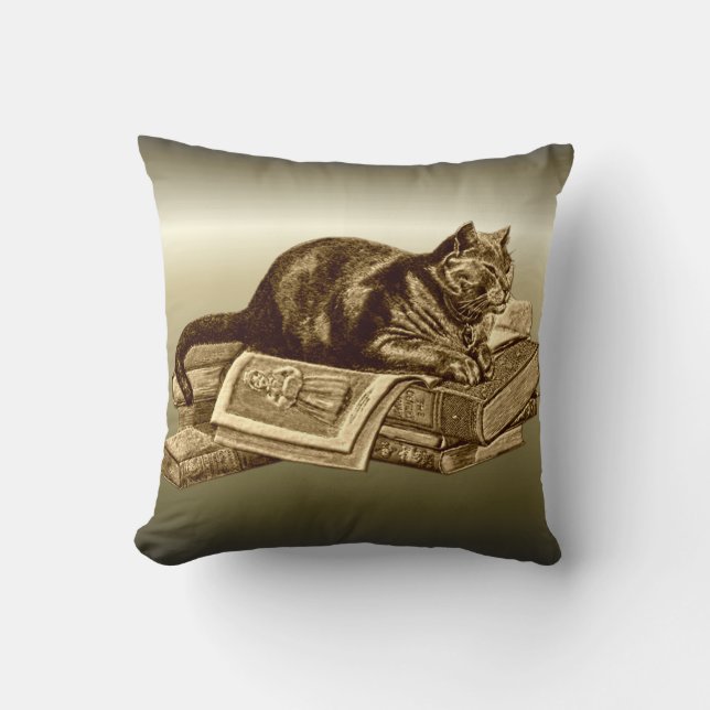 Bücherwurm-Miezekatze-Katzen-Lesebücher Kissen (Vorderseite)