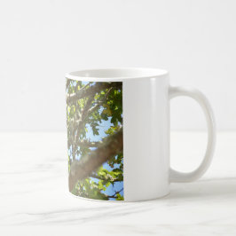 Buchfink Kaffeetasse