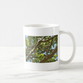 Buchfink Kaffeetasse