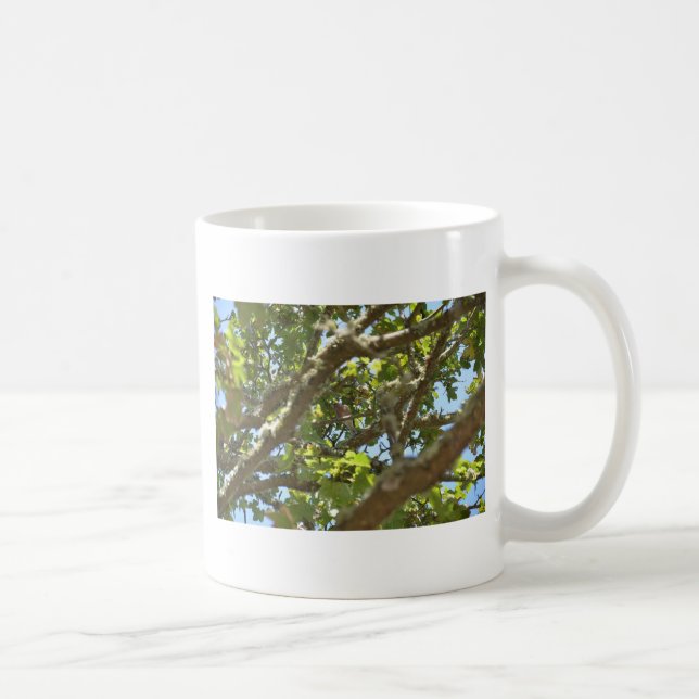 Buchfink Kaffeetasse (Rechts)