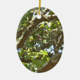 Buchfink Keramik Ornament