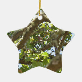 Buchfink Keramik Ornament