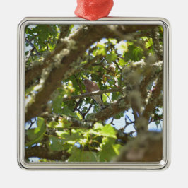 Buchfink Ornament Aus Metall