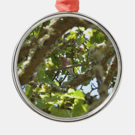 Buchfink Silbernes Ornament