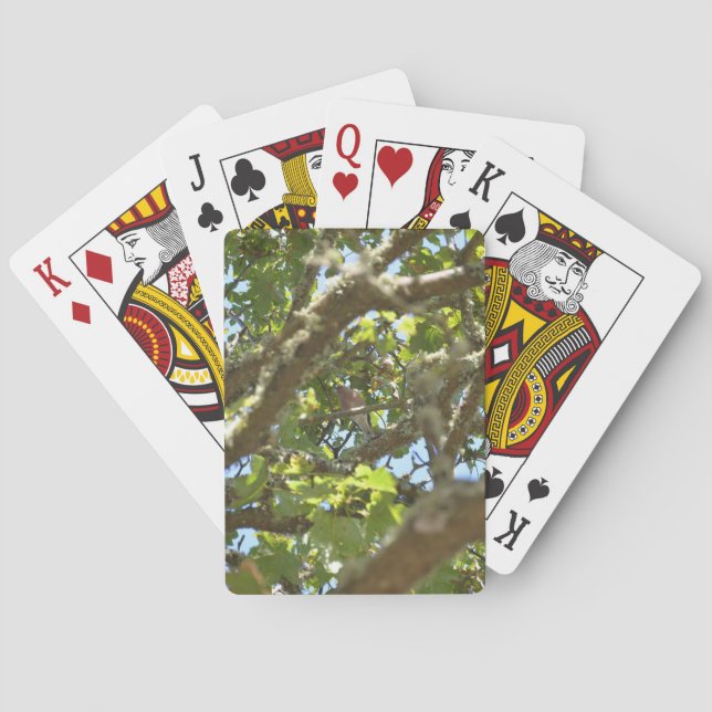 Buchfink Spielkarten (Rückseite)