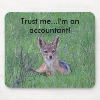 Buchhalter mousepad