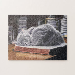Buchladenkatze