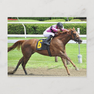 Buchprüfung Postkarte