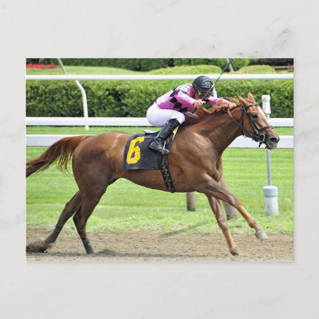 Buchprüfung Postkarte (Vorderseite)