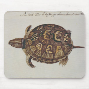 Buchsbaum-Schildkröte Mousepad