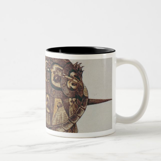 Buchsbaum-Schildkröte Zweifarbige Tasse (Rechts)
