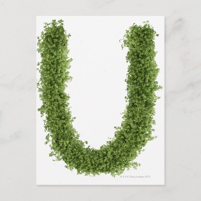 Buchstabe "U" in Kresse auf weißem Hintergrund, Postkarte (Vorderseite)