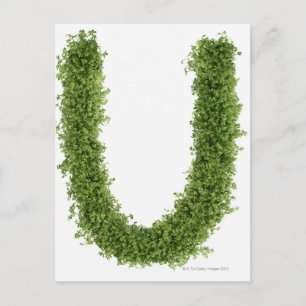 Buchstabe "U" in Kresse auf weißem Hintergrund, Postkarte
