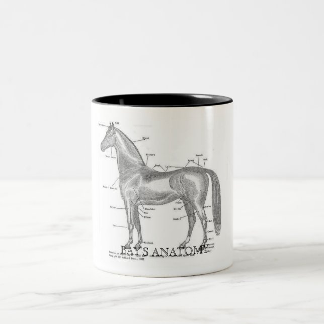 Bucht-Anatomie-Tasse Zweifarbige Tasse (Mittel)