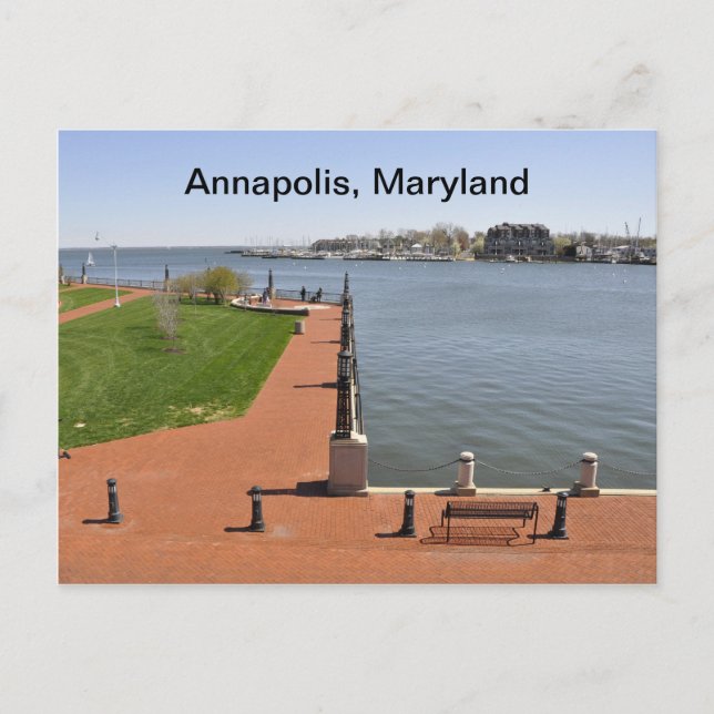 Bucht in Annapolis, Maryland Postkarte (Vorderseite)