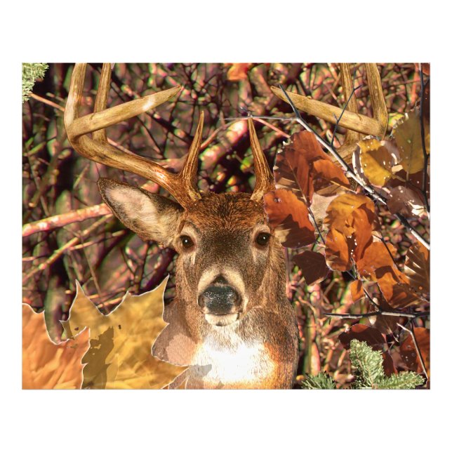 Bucht in Camouflage Weißer Schwanz Hirsch Fotodruck (Vorne)