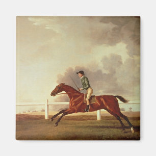 Bucht Malton Georges Stubbs mit John Singleton Magnet