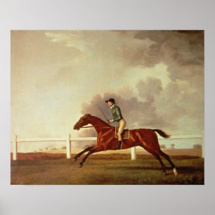 Bucht Malton mit John Singleton oben, c.1767 Poster