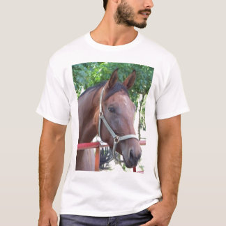 Bucht-Pferd T-Shirt