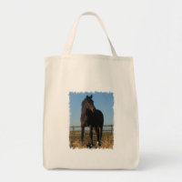 Bucht-Pferdelebensmittelgeschäft-Taschen-Tasche