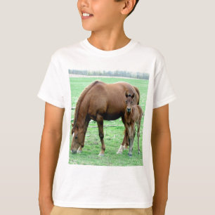Bucht-Stute und ihr Colt T-Shirt