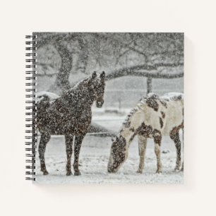 Bucht und Paint Horses in Fallschirm Notizbuch