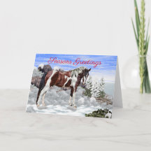 Bucht und Weiß Tobiano Paint Horse in Snow