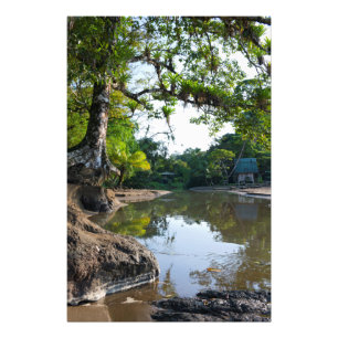 Bucht von Drake Bay Fotodruck