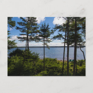 Bucht von Gouldsboro, Maine im Sommer Postkarte
