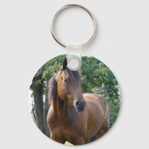 Buchtthoroughbred-PferdeSchlüsselanhänger Schlüsselanhänger