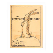 Buchübersicht - Das Kaninchen Velveteen