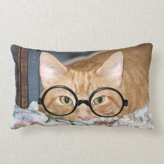 Buchwurmtabby Lendenkissen