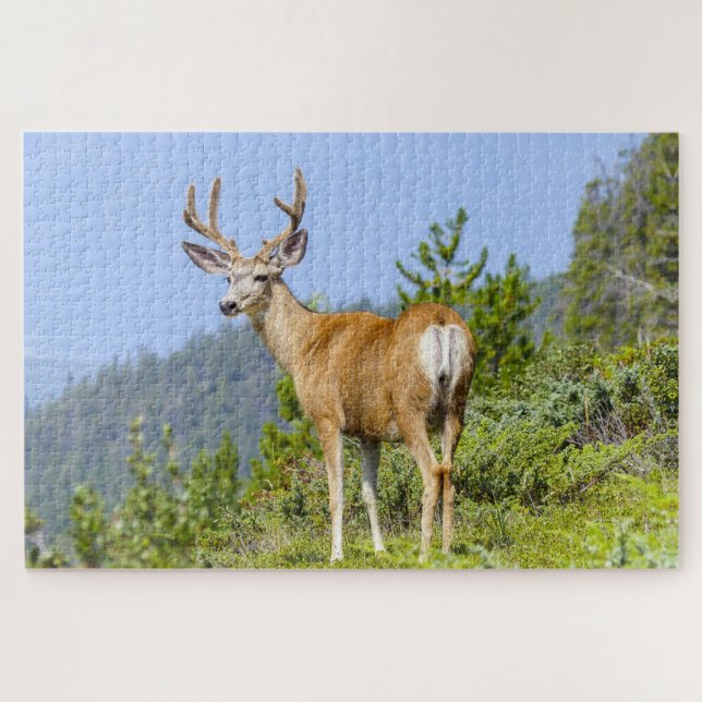 Buck (Horizontal)