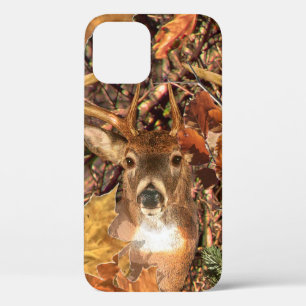 Buck Camouflage White Schwanz Deer title_seo2