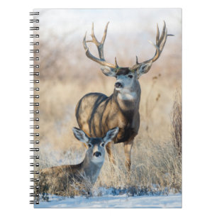 Buck Couple   Mule Deer Notizblock
