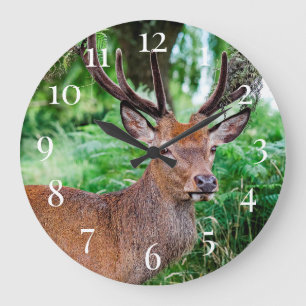 Buck Deer Große Wanduhr