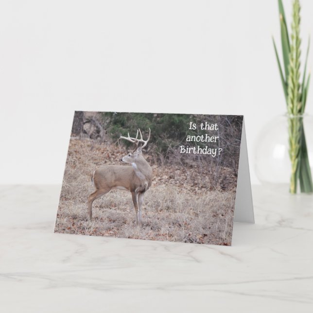 Buck Deer Hunter Deer Love Love Carte d'anniversai (Devant)