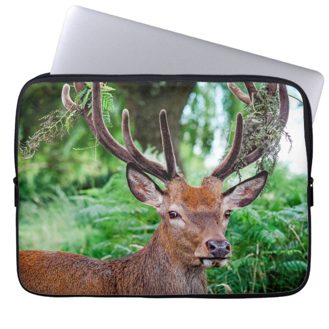 Buck Deer Laptop Sleeve (Vorderseite)