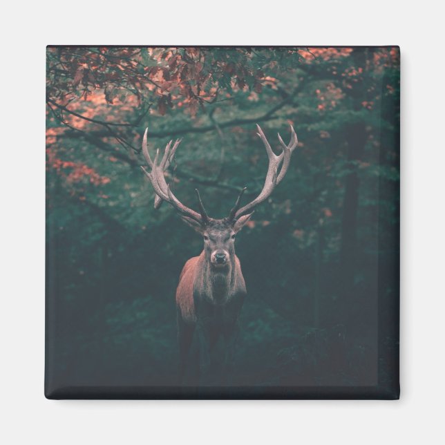 Buck Deer Wild Animal Magnet (Vorne)