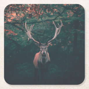 Buck Deer Wild Animal Rechteckiger Pappuntersetzer