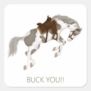 Buck Dich! Lustiges Pinto-Pferd Quadratischer Aufkleber