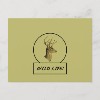 Buck Head Dark Khaki Postcard Postkarte