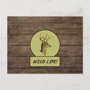 Buck Head Dark Wood Postkarte